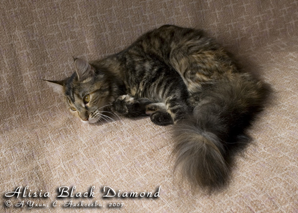   - Alisia Black Diamond