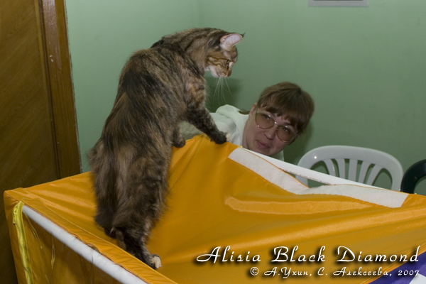  - Alisia Black Diamond