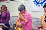 Maine Coon Show  Nathaniel Amazing Soul