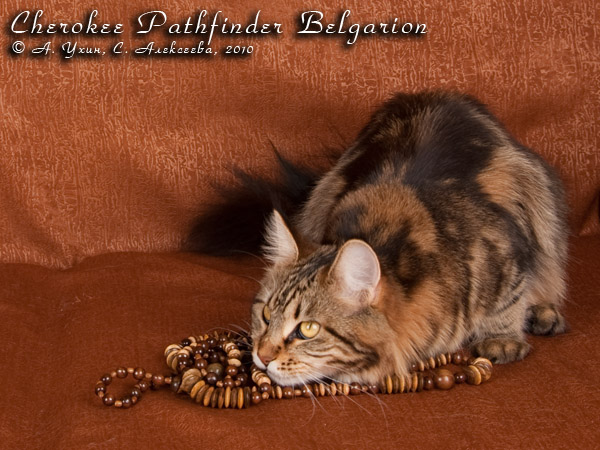  - Cherokee Pathfinder Belgarion (9 )