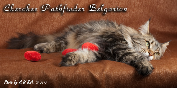   - Cherokee Pathfinder Belgarion (2,5 )