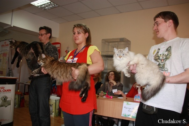 Best In Show Best In Show