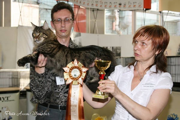 Best In Show   . Crusader Belgarion  Best Neuter