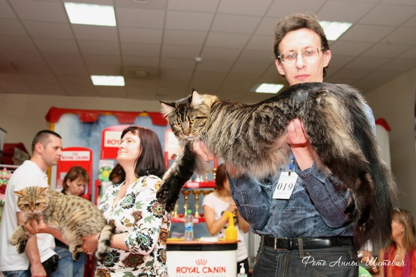 Best In Show Best In Show